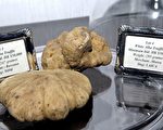图片新闻：身价逾140万的白松露