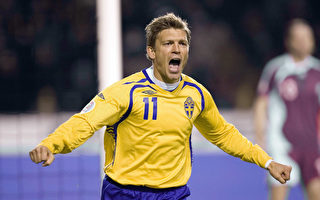 瑞典晋级2008欧足赛 表现北欧最佳