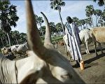 世界卫生组织（WHO）说，苏丹裂谷热疫情持续，截至昨天统计已有四百五十一人感染，一百六十四人丧生。人类感染大多数是因接触受感染动物的血液或器官//法新社