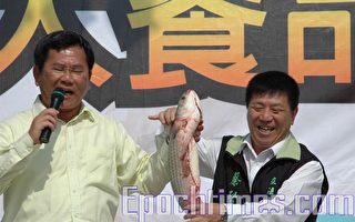 嘉义县布袋乌鱼祭活动热烈展开
