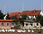 2007年在德国东部Dardesheim，这拥有1,000个住屋的村庄有“能源花园”的美称，经营者矢志将再生能源推至邻近Schoeningen村的Buschhaus褐煤发电厂，以风力、太阳能及生质物等设备取而代之。屋顶上看到的是风车，用来产生再生能源的装置。(BARBARA SAX/AFP/Getty Images)