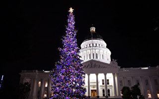 加州州府點亮聖誕樹