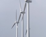 風力公司欲租用馬州森林作發電廠