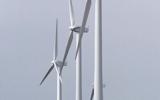 风力公司欲租用马州森林作发电厂