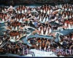 組圖：高雄興達港觀光魚市 海鮮味濃
