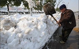 中国雪灾  超过一千五百万只牲畜冻死