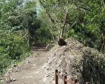 龍銀山步道生態優美
