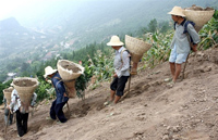 英媒：中国农民争土地权对中共是一大考验