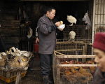 廣東汕尾女子感染H5N1禽流感死亡