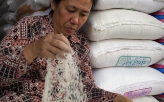 米价涨至20年新高  引发亚洲恐慌