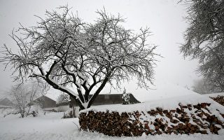 组图：德国三月降大雪