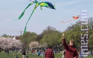 圖片報導：華府風箏節