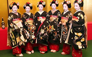 日本舞妓 近年人氣大增