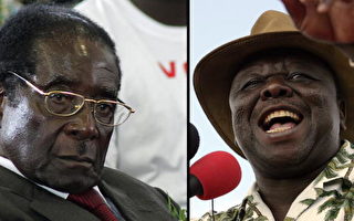 津巴布韦朝野否认穆加贝下台秘密协议