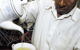 研究：绿茶有助抗生素对抗超级病菌
