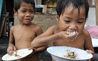 粮食价格飙涨  联合国可能停止对菲南配给