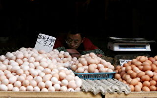 雞蛋琳瑯滿目 上海消費者如墜五里雲霧