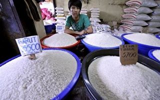 研究：强烈圣婴年 国际米价恐涨1成6