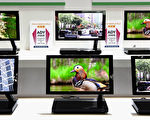 11吋有機EL電視「XEL-1」是第5屆國際薄型顯示器展覽會上的焦點（AFP)