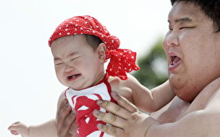 组图：日本婴儿啼哭大赛