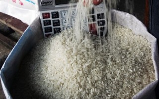 广州米价月涨三次 万吨北米抢运抑米价