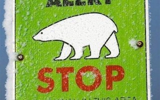 美国政府将北极熊列为濒临危险物种