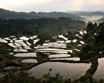 日本新潟梯田，不仅为了水稻生长，并且可以作为山区天然水坝储存水之用。 (图片来源： Koichi Kamoshida/Getty Images)