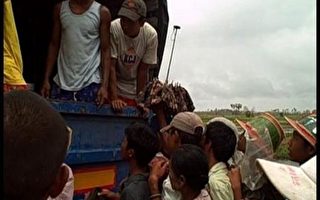 联合国粮食机构首架运粮直升机抵达缅甸