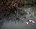 缅甸风灾灾区相当严峻。图为，2008年5月20日，在MYASEIN KAN的河道上发现漂浮的尸体。 (Photo by Getty Images)