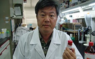 劉明毅發現  芝麻酚有助於治療敗血症