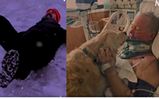 養一隻狗可能會救你一條命，看看這個故事，你就知道了