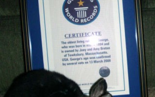 吉尼斯紀錄世界最「老」兔子 高齡14歲