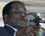 津巴布韦政府表示，八大工业国领袖拒绝承认穆加比总统的合法性，及警告将对穆加比政权采取金融制裁措施，不啻为种族主义者，对非洲国家领袖是一种羞辱//法新社