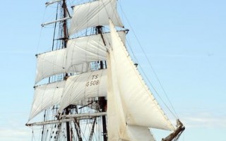 組圖：2008佈雷斯特國際帆船節