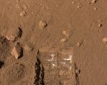火星土壤部分成分可能对生命有害