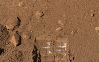 火星土壤部分成分可能对生命有害