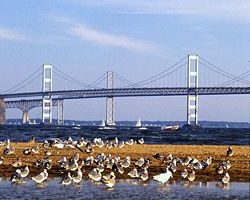 切萨皮克海湾桥 （Chesapeake Bay Bridge），通常叫做海湾桥（Bay Bridge），正式名称叫做William Preston Lane, Jr. Memorial Bridge。 (图片提供：维基百科)