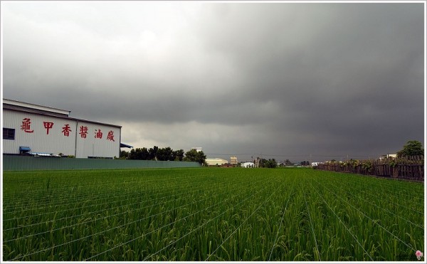 弥陀乡釆风 皮影戏 豆油 大纪元