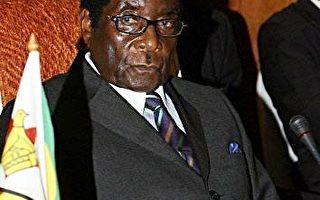 辛巴威政治谈判因反对派领袖缺席而暂停