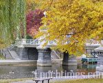 波士頓花園秋色正濃  (攝影：楊天儀/大紀元)