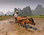 劉軍寧：土地是誰的