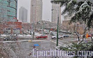 溫哥華降第一場冬雪