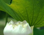 10岁小孩死里逃生的力量