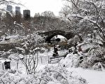 组图：暴风雪袭北美 上千航班受影响
