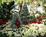 冬之絢麗色彩 艾倫溫室花園