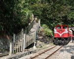 農曆新年前  阿里山森林鐵路全線接駁通車