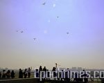 结合人文艺术 台南都会公园多元启飞