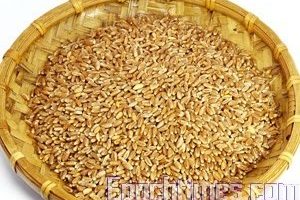 食材小窍门：神奇小麦(一)珍贵的谷物