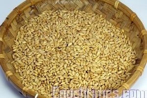 这是一般最常见的白色﹙小麦色﹚种皮小麦。﹙摄影：陈瑞兰/大纪元 ﹚