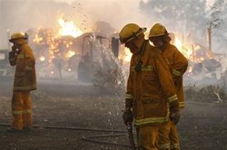 澳洲南部野火肆虐　至少造成14人死亡